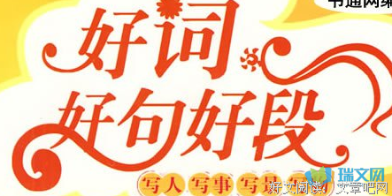 刺猬的爱情读后感摘抄