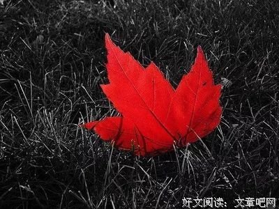 《六祖坛经讲话》读后感精选