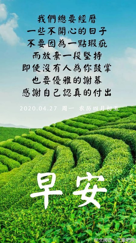 细碎阳光句子