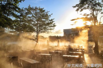 关于张小娴的句子