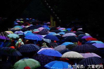 《伞中情》经典影评集