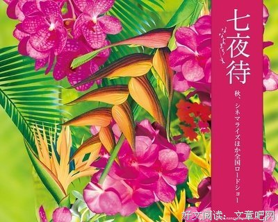 《七夜待》影评100字