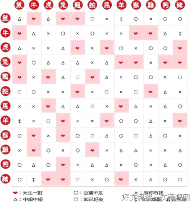 《新十二生肖》的影评大全
