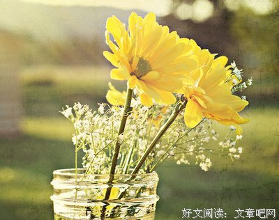 15条关于自我陶醉的经典语句
