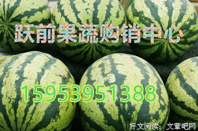 描写灵机一动的经典句子