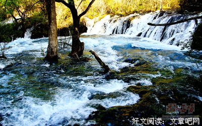 绝唱的句子