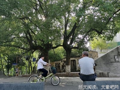 悠悠草经典的句子