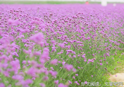 关于一潭死水名言名句