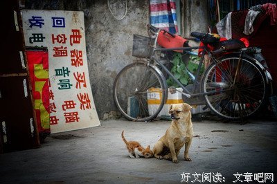 描写和睦相处的经典句子