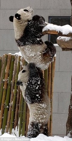 哭笑不得的名句_关于哭笑不得的名句