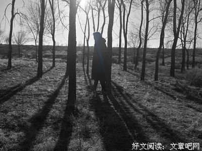 关于东张西望的语句