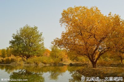 出种心发些看过的电视剧优美的句子