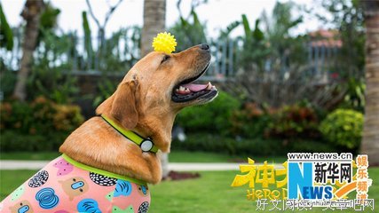 关于致小七的句子