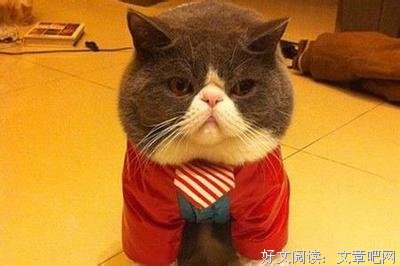看透人生好词好句