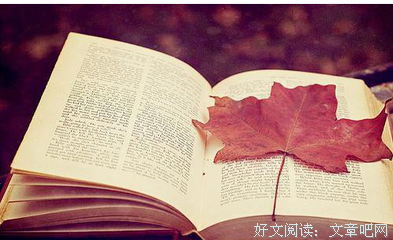 有关个人喜欢的句子