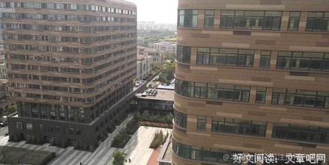 连岳 