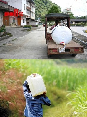 一场花费 10 万元的腹泻 | 故事FM