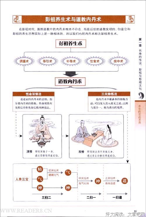 《厨房中术》读后感1000字