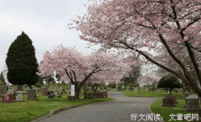 《寻找李小龙》经典影评集