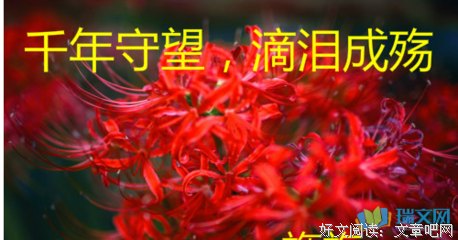 滴泪成殇*的优美句子