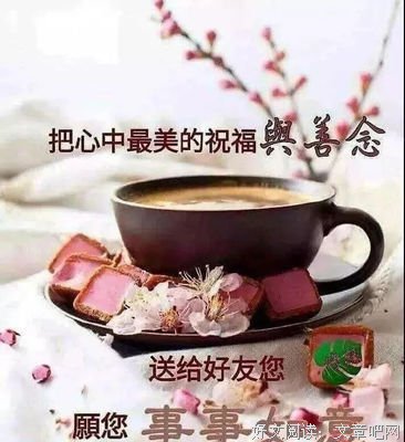 镜中花。的优美句子
