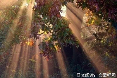 红尘一梦，繁花似锦句子大全