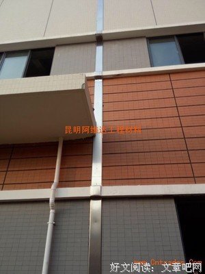 《阿维达》经典观后感集