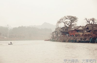 《小巷之爱》的观后感大全