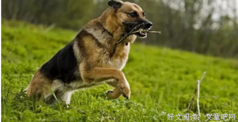 关于固执己见名言名句