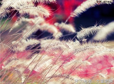 错过的时光名句欣赏