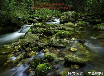 伤感语录