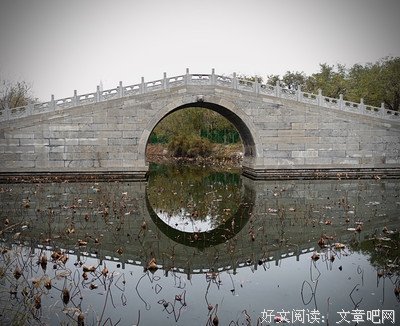 落落清欢读后感摘抄