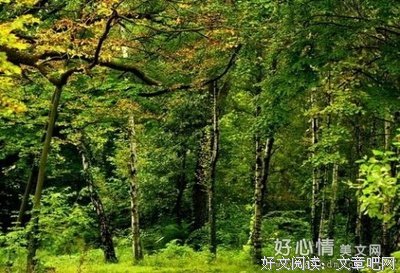 悲惨世界读后感精选