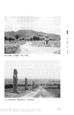 《杜甫的五城》读后感锦集