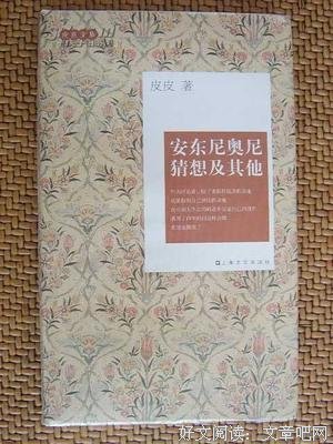 《安东尼奥尼猜想》读后感锦集