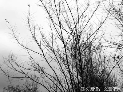 《马桥词典》读后感100字