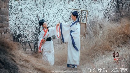 《相思引》的句子