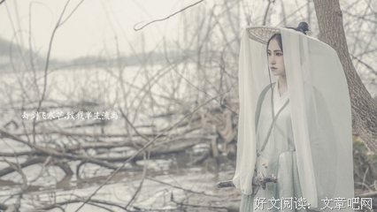 红尘一梦的句子