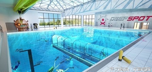 《精子的異想世界》经典影评1000字