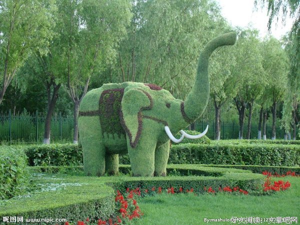 《大象》经典影评1000字