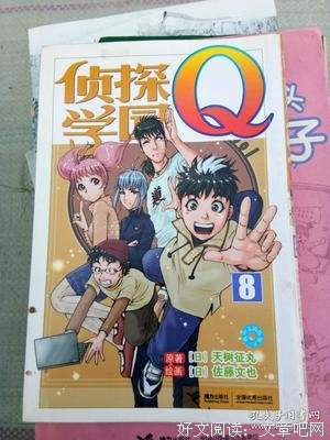 《侦探学园Q SP》经典影评1000字