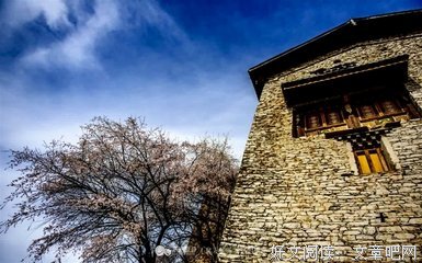 《时间隧道》观后感摘抄