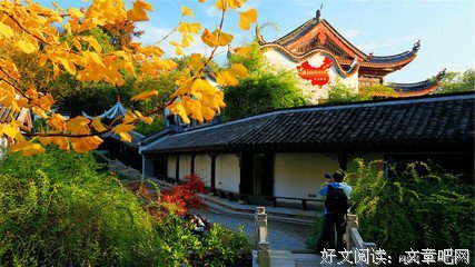 《永远的凝视》经典观后感有感