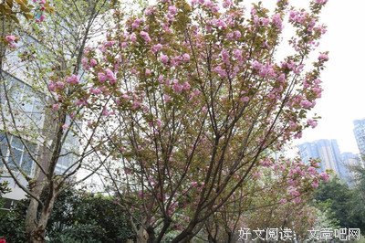 各色人等格言警句