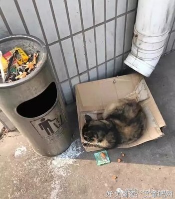 关于食不果腹的名言