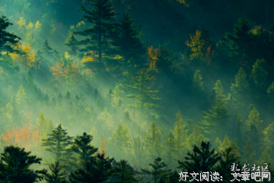 空起认天可流霜不觉飞句子