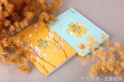 《阮玲玉》读后感锦集