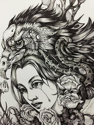 《荆棘鸟》读后感摘抄
