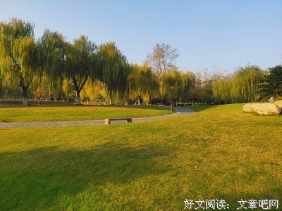 梅子青时雨读后感精选