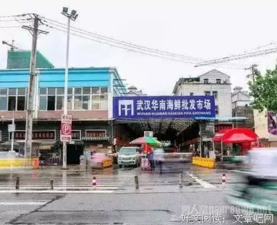 《一个自行发完病毒的病例》读后感锦集